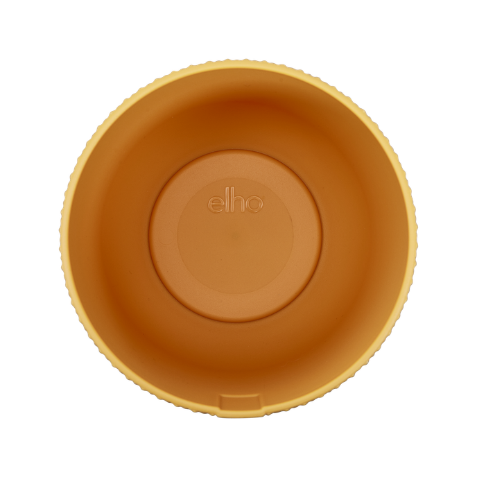 jazz round mini 11cm giallo ambra